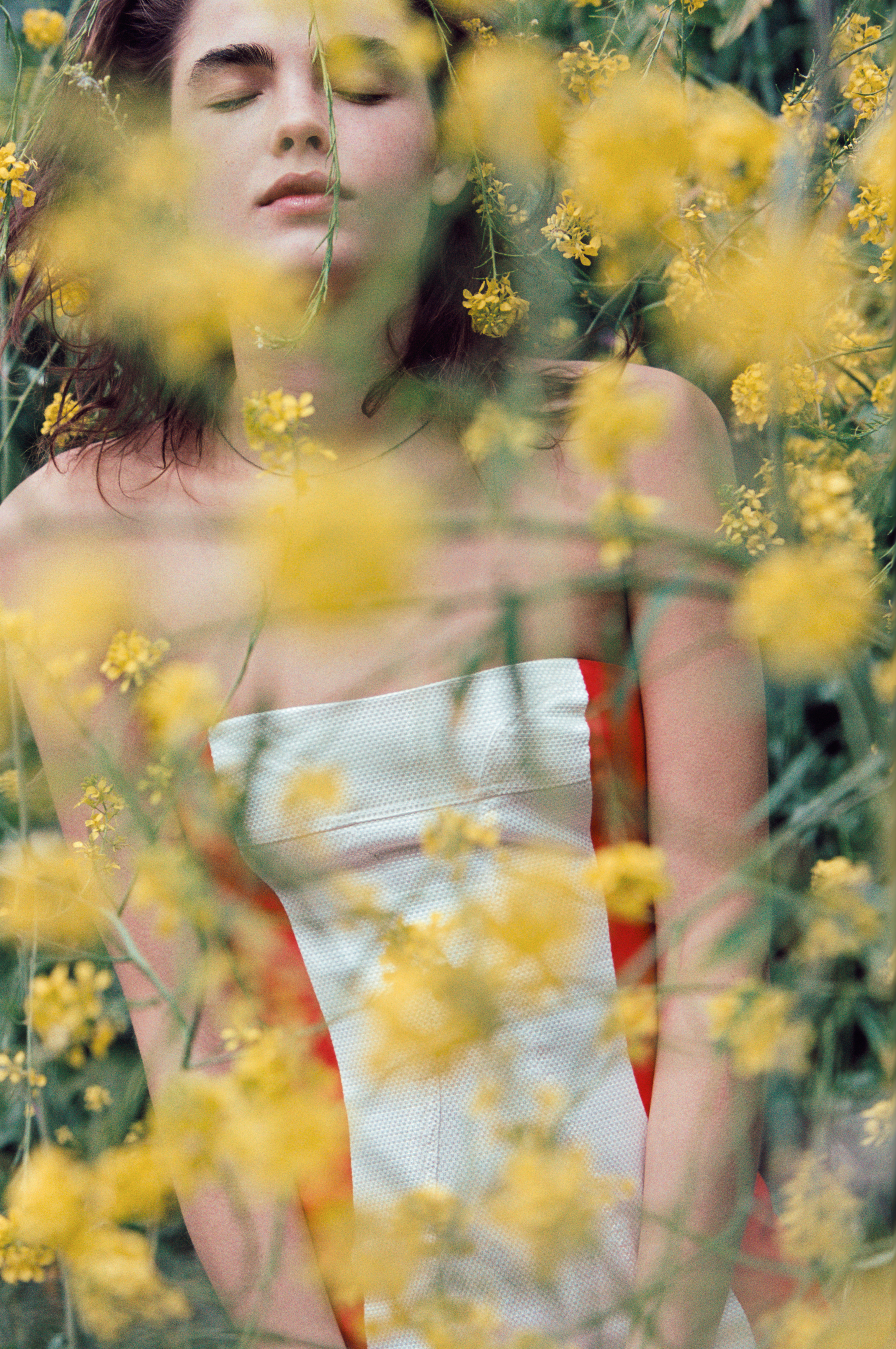 ALL/02_TIM_BARBER_WILDFLOWER.jpg