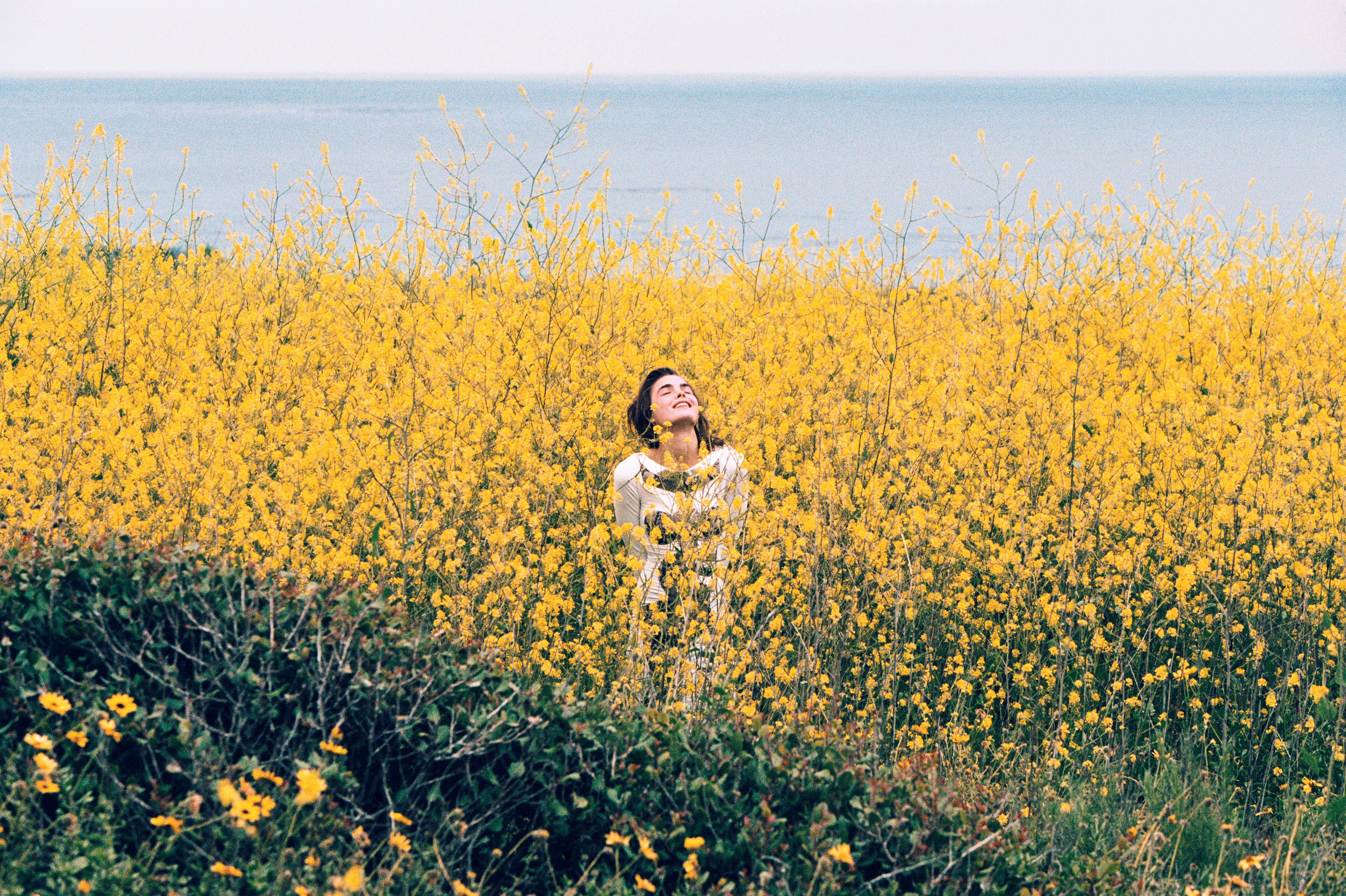 ALL/22_TIM_BARBER_WILDFLOWER.jpg