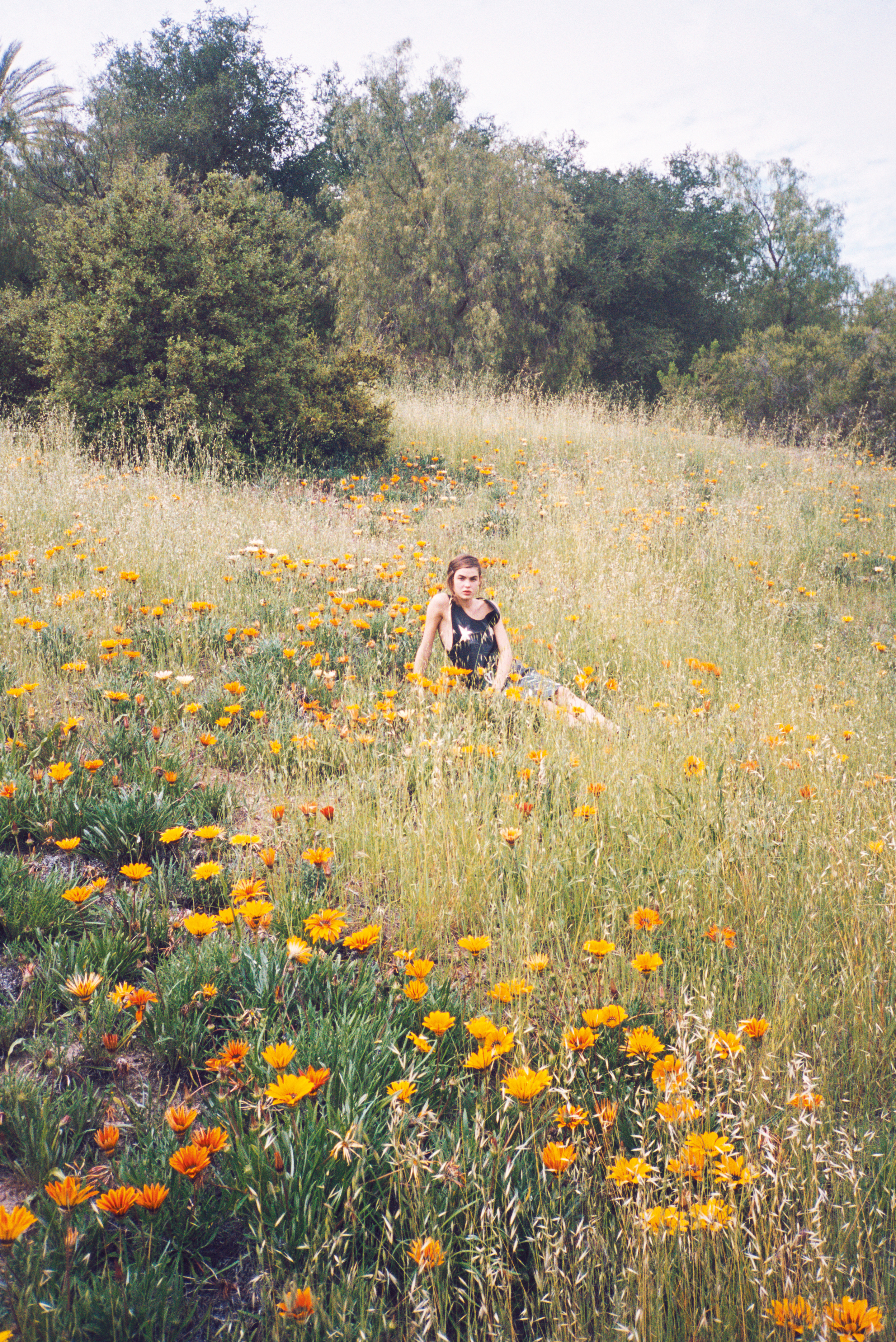ALL/32_TIM_BARBER_WILDFLOWER.jpg