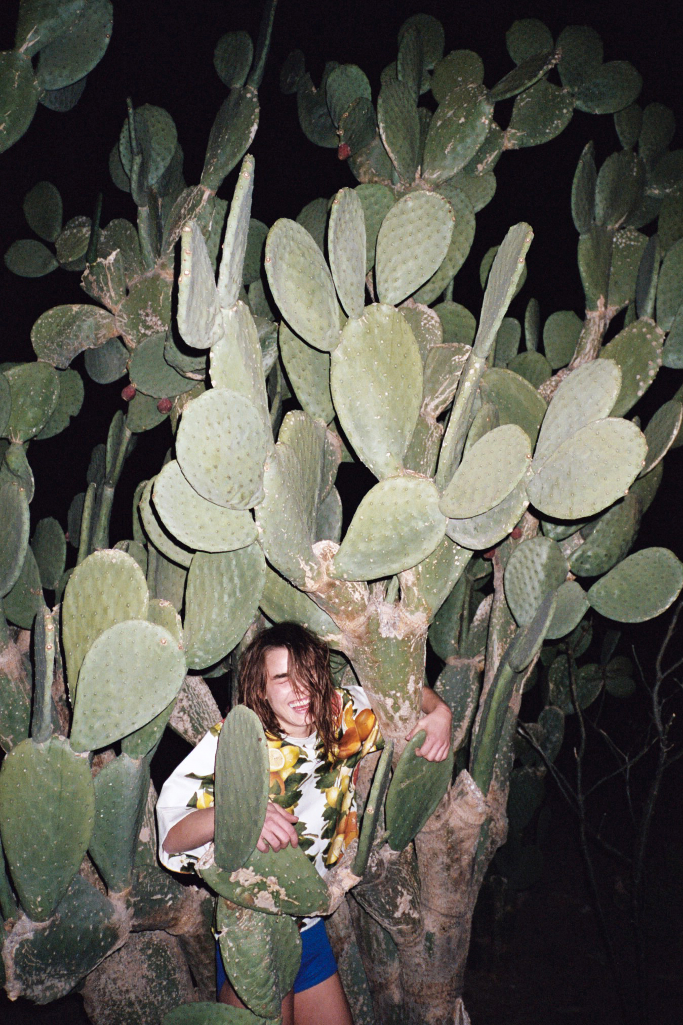 ALL/41_TIM_BARBER_WILDFLOWER.jpg