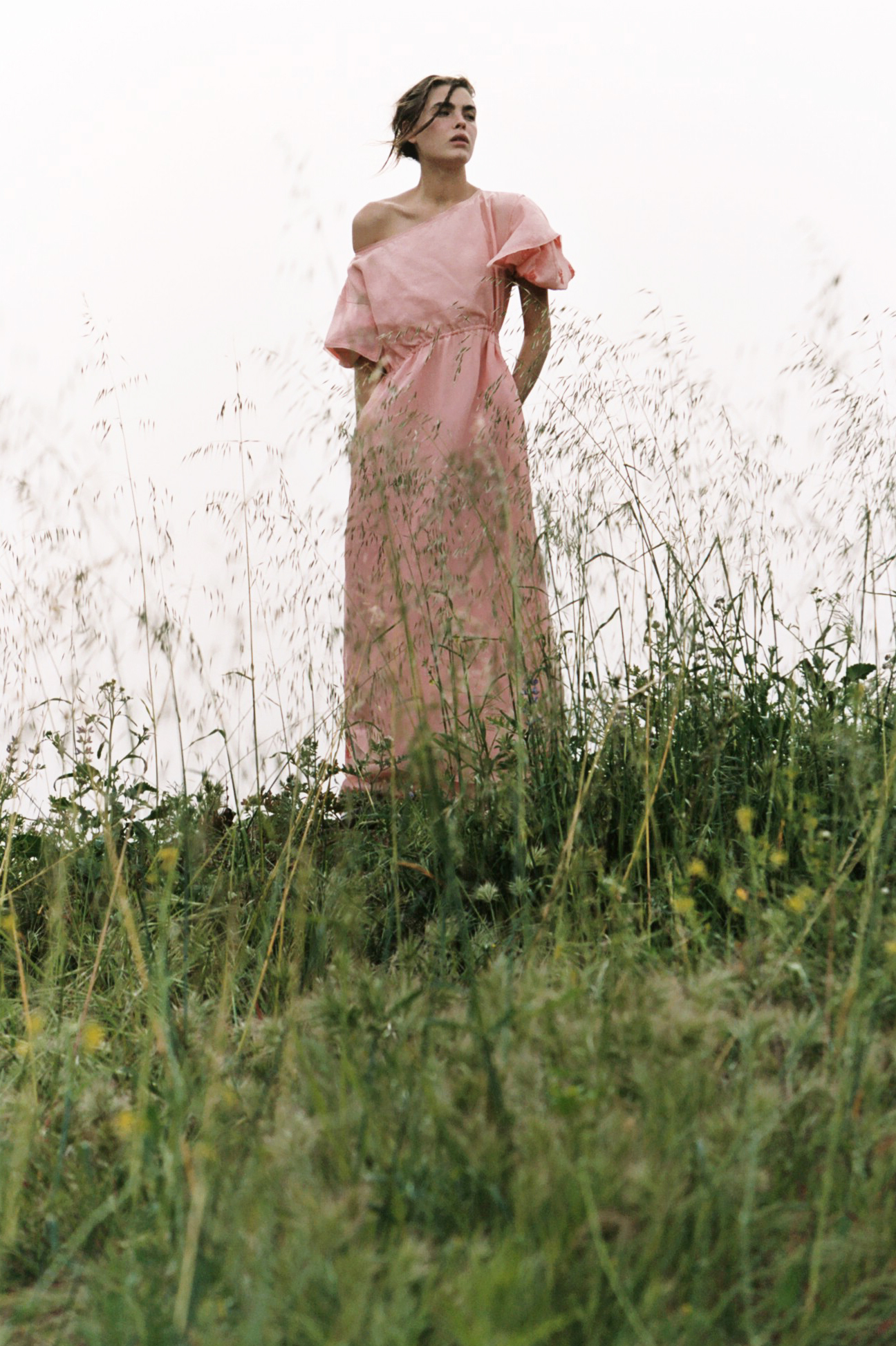 ALL/52_TIM_BARBER_WILDFLOWER.jpg